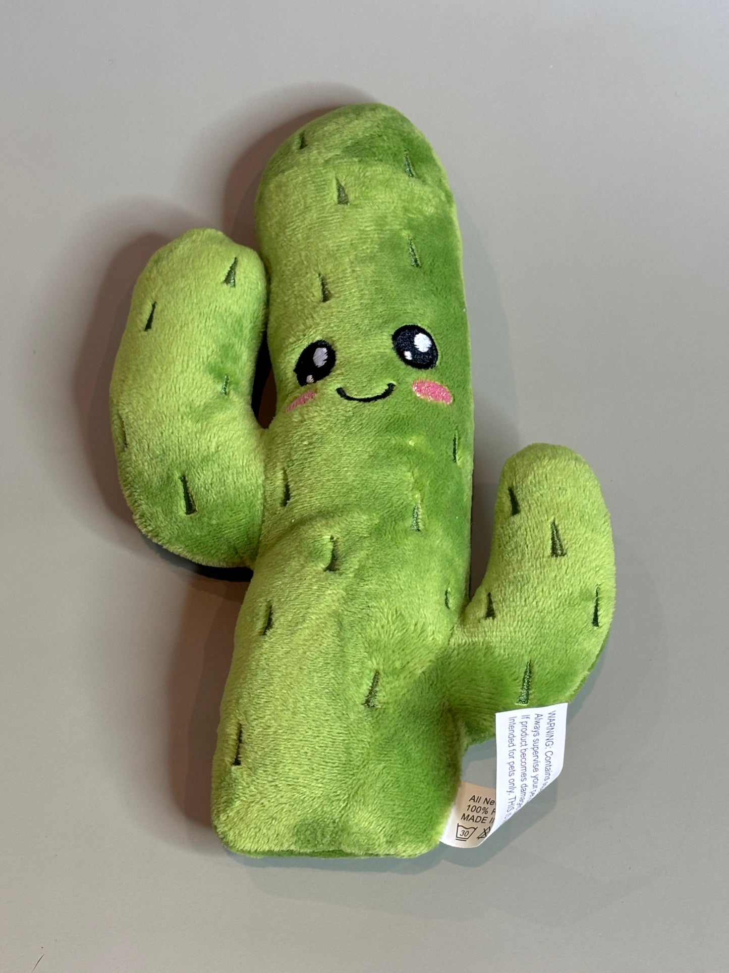 Cactus Squeak Toy
