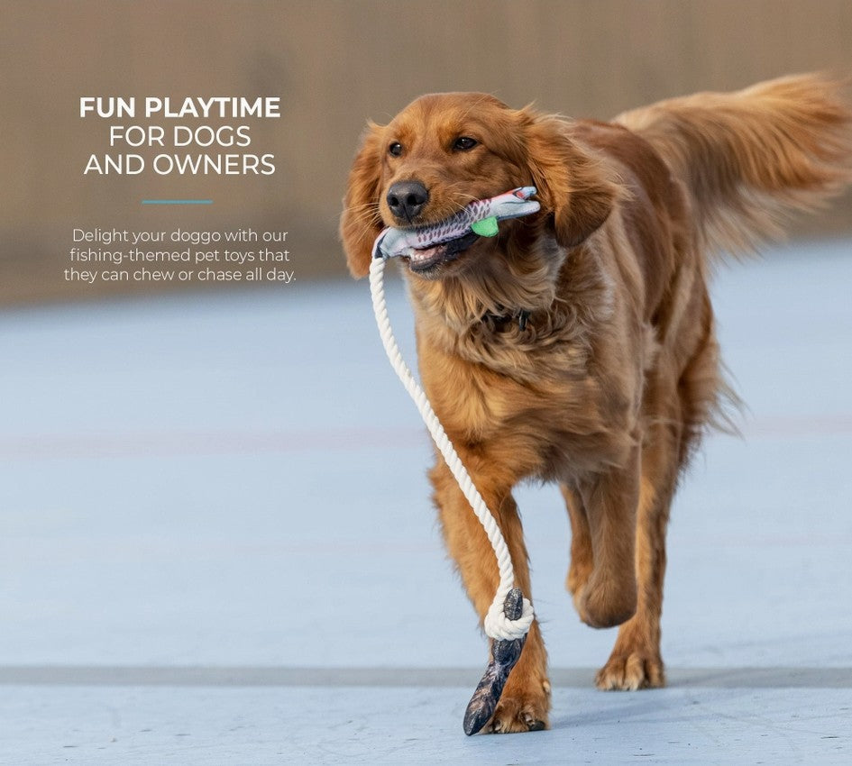 2-Pack Fish and Mason Jar Dog Toy