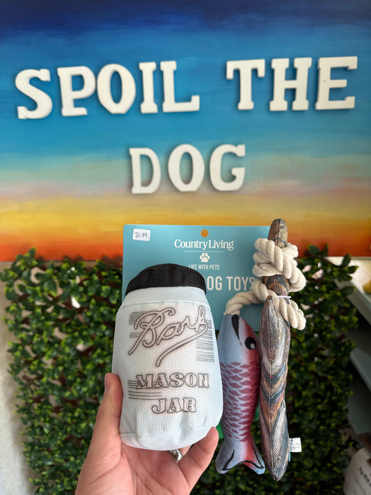 2-Pack Fish and Mason Jar Dog Toy