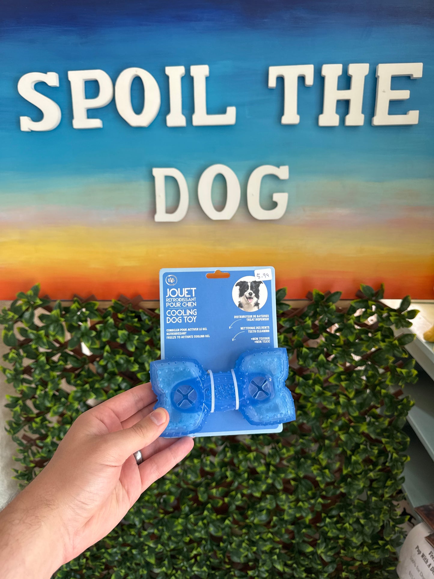 Cooling Bone Dog Toy