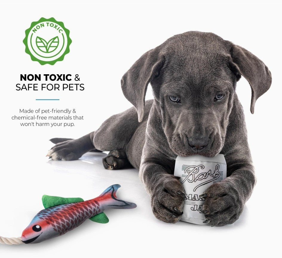 2-Pack Fish and Mason Jar Dog Toy