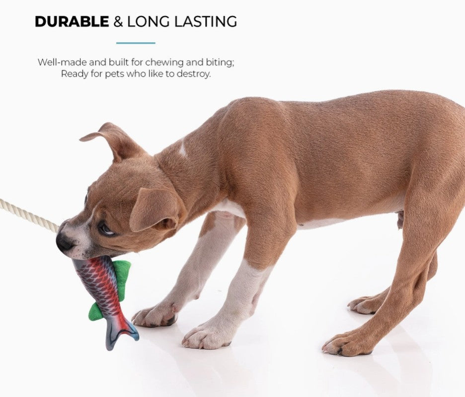 2-Pack Fish and Mason Jar Dog Toy